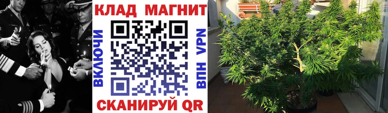 Где найти наркотики Бородино ГАШИШ  МЕТАМФЕТАМИН  APVP  АМФ  Меф мяу мяу  Cocaine 