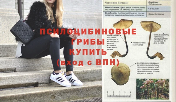 дмт Белоозёрский
