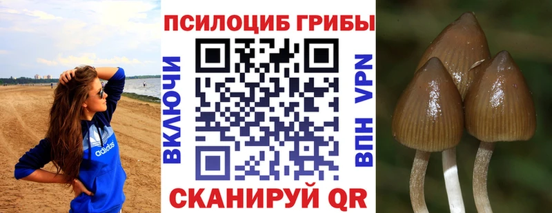 Галлюциногенные грибы мицелий  Бородино 